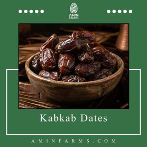 Kabkab Dates