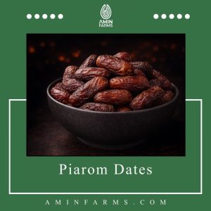 Piarom Dates
