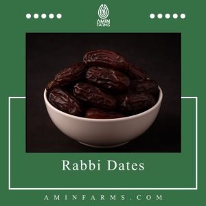 Rabbi Dates