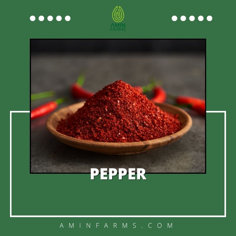 Pepper Pepper